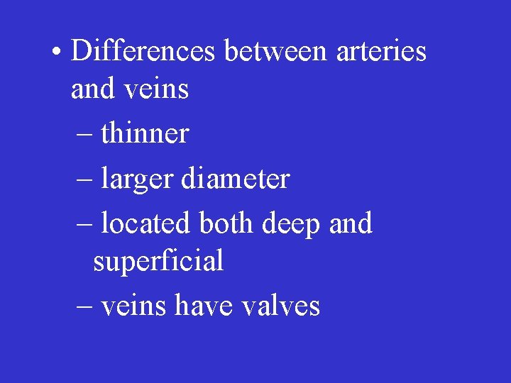  • Differences between arteries and veins – thinner – larger diameter – located