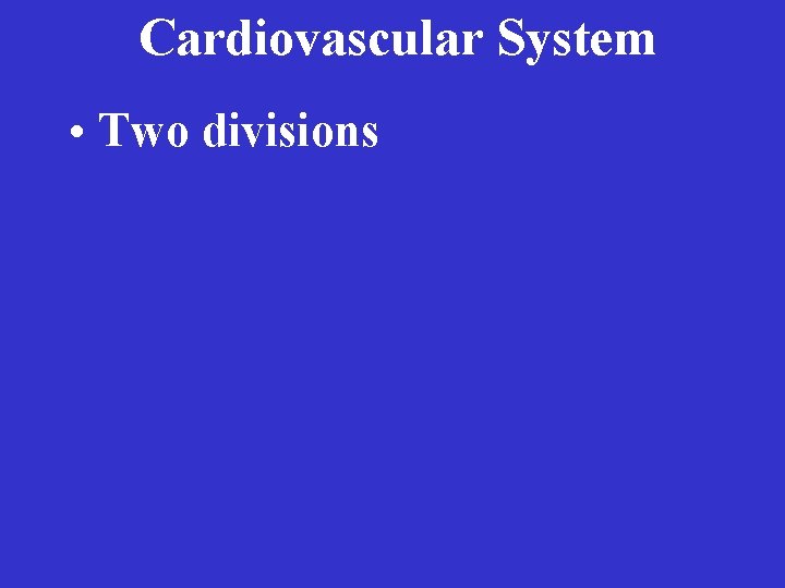 Cardiovascular System • Two divisions 