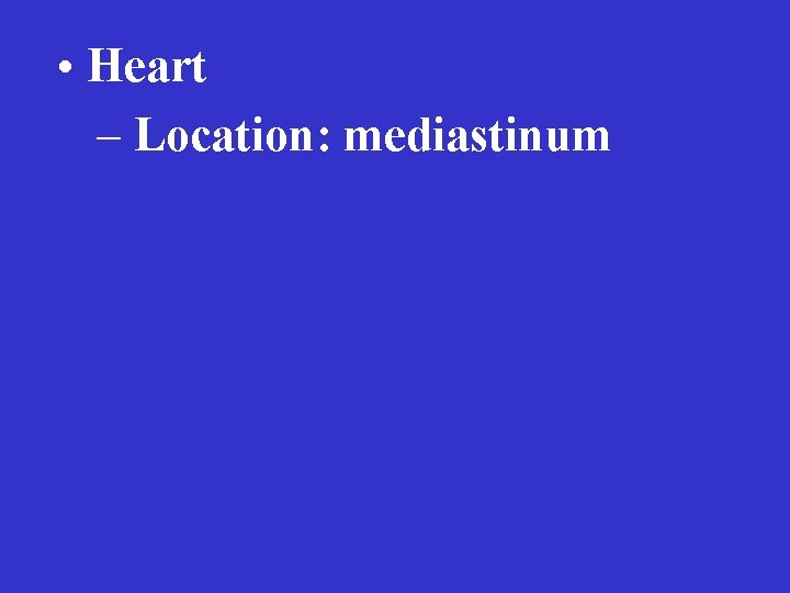  • Heart – Location: mediastinum 