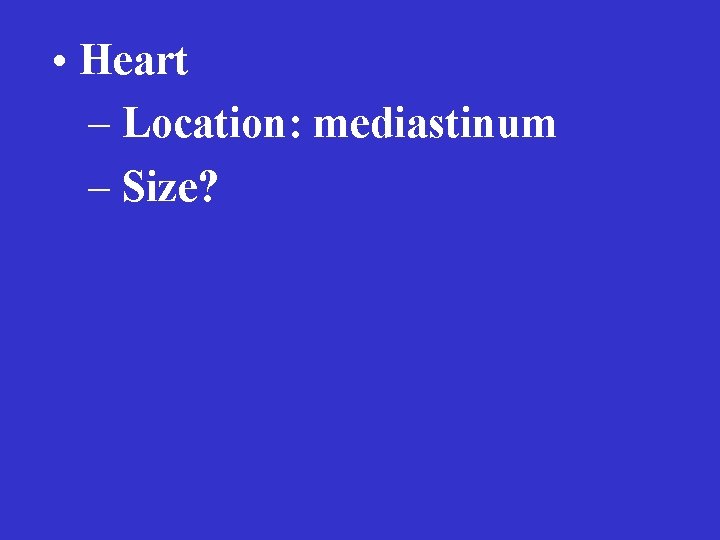  • Heart – Location: mediastinum – Size? 