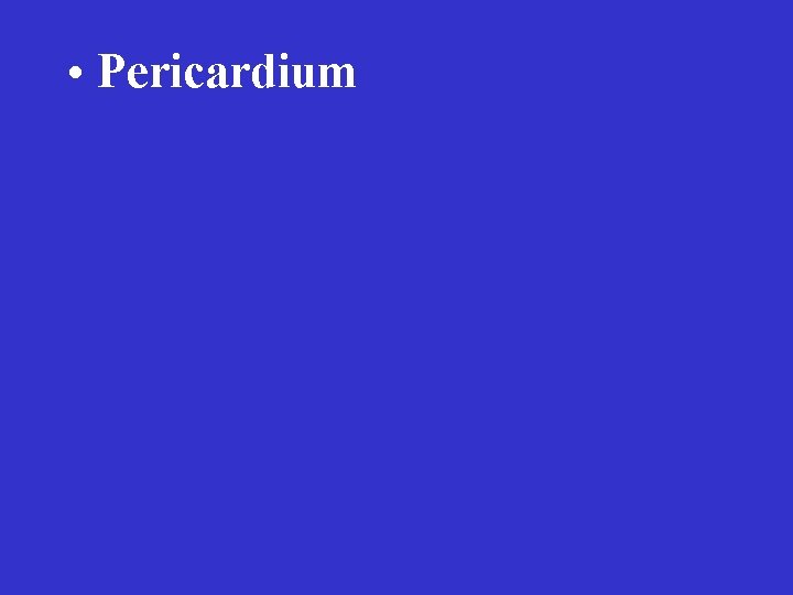  • Pericardium 