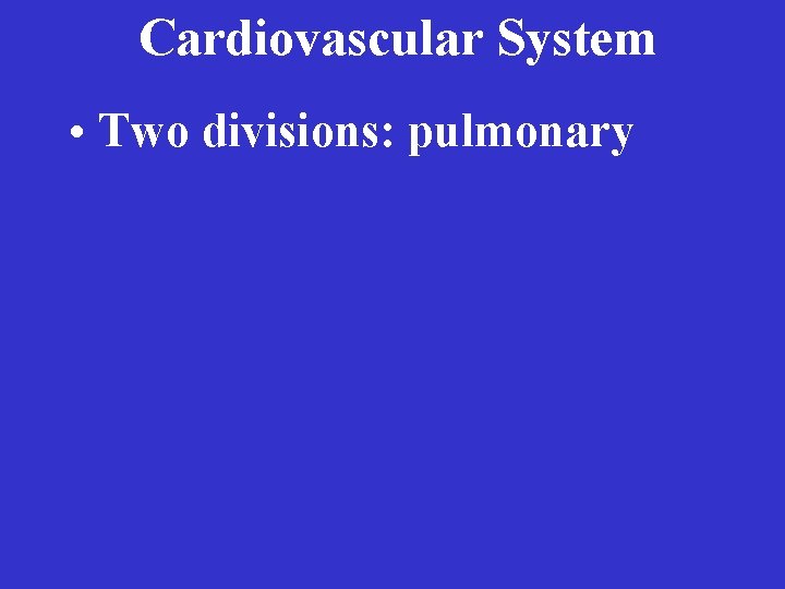 Cardiovascular System • Two divisions: pulmonary 