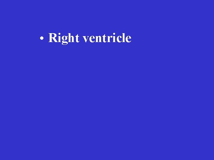  • Right ventricle 