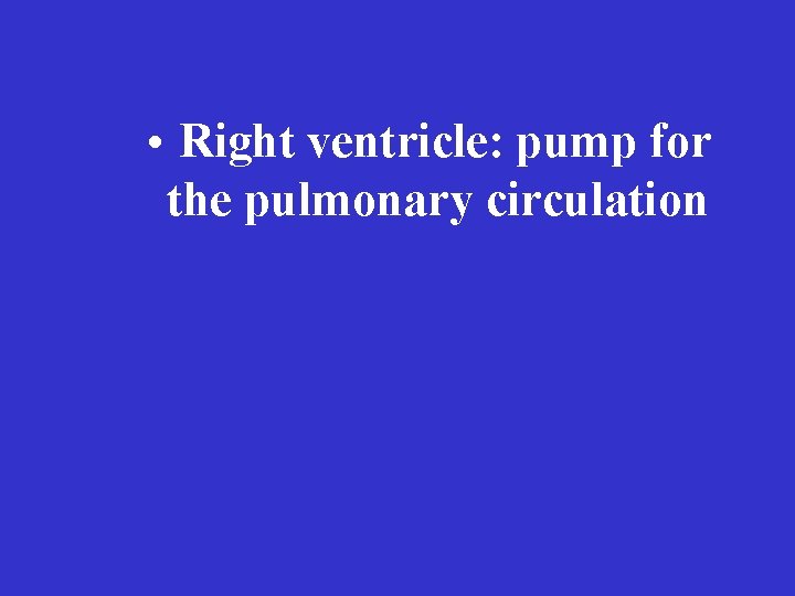  • Right ventricle: pump for the pulmonary circulation 