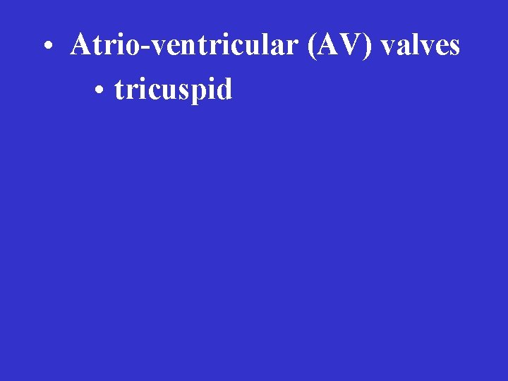  • Atrio-ventricular (AV) valves • tricuspid 