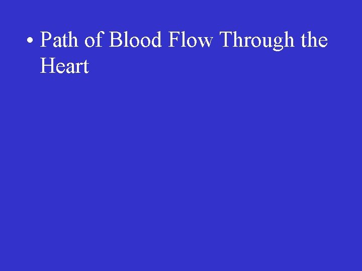  • Path of Blood Flow Through the Heart 