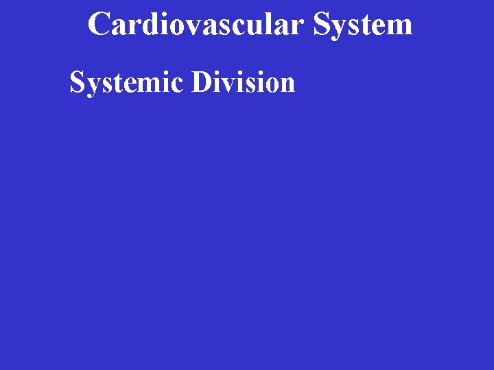 Cardiovascular System • Systemic Division 