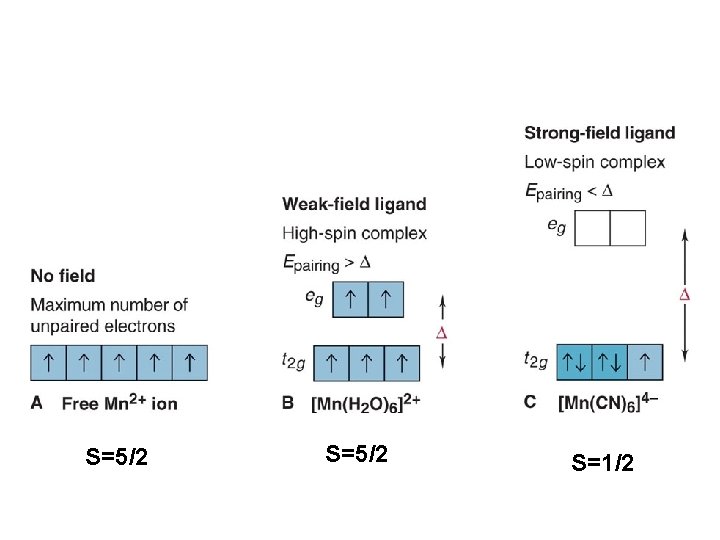 S=5/2 S=1/2 