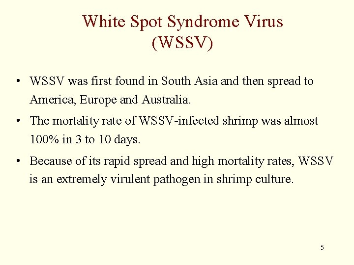 White Spot Syndrome Virus (WSSV) • WSSV was first found in South Asia and