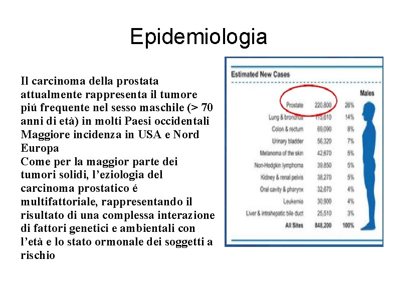 Epidemiologia Il carcinoma della prostata attualmente rappresenta il tumore piú frequente nel sesso maschile