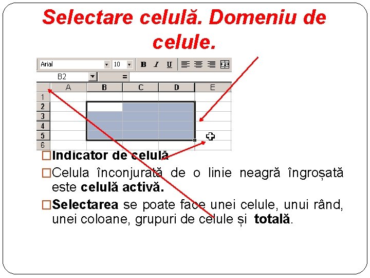 Selectare celulă. Domeniu de celule. �Indicator de celulă �Celula înconjurată de o linie neagră