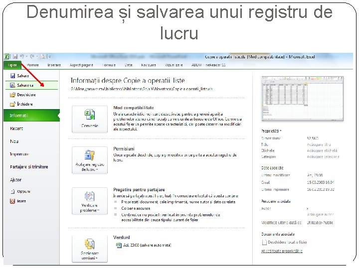 Denumirea și salvarea unui registru de lucru 