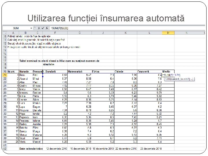 Utilizarea funcției însumarea automată 