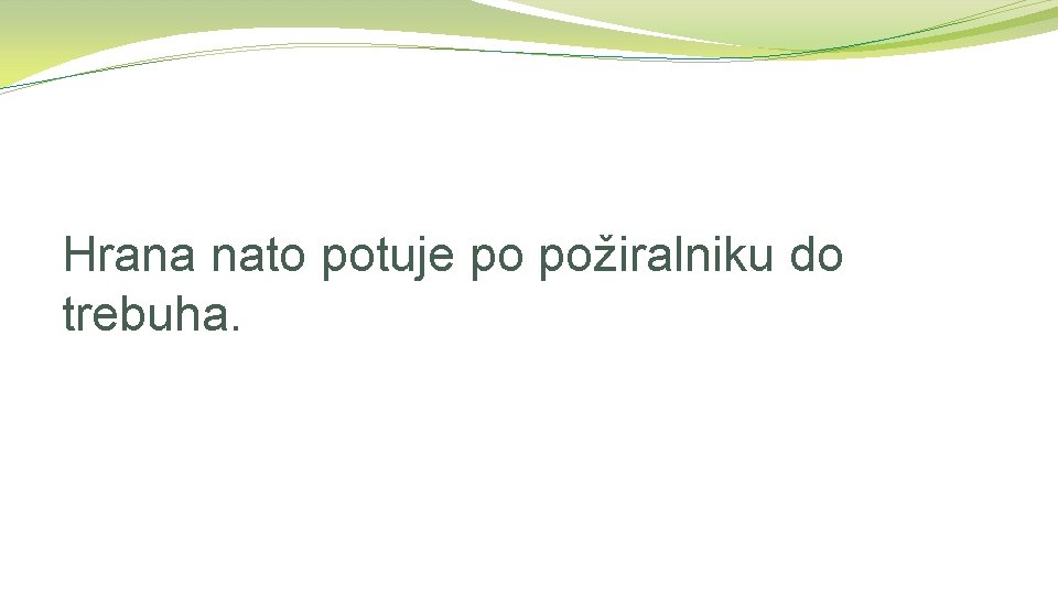 Hrana nato potuje po požiralniku do trebuha. 