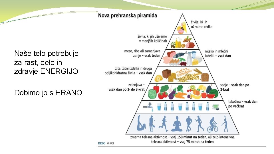 Naše telo potrebuje za rast, delo in zdravje ENERGIJO. Dobimo jo s HRANO. 