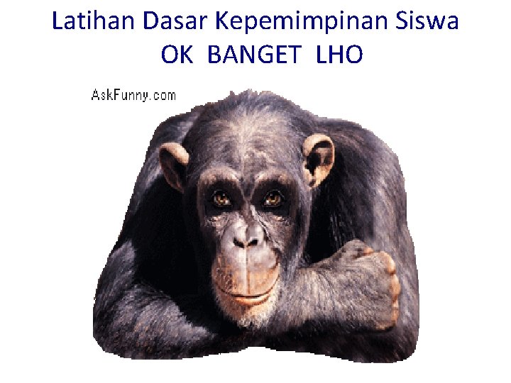 Latihan Dasar Kepemimpinan Siswa OK BANGET LHO Latihan Dasar Kepemimpinan Siswa OK BANGET LHO