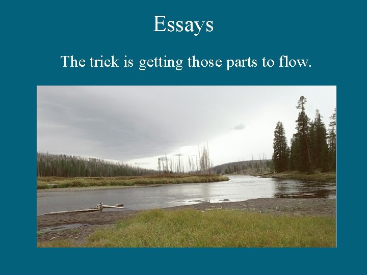 Essays The trick is getting those parts to flow. 