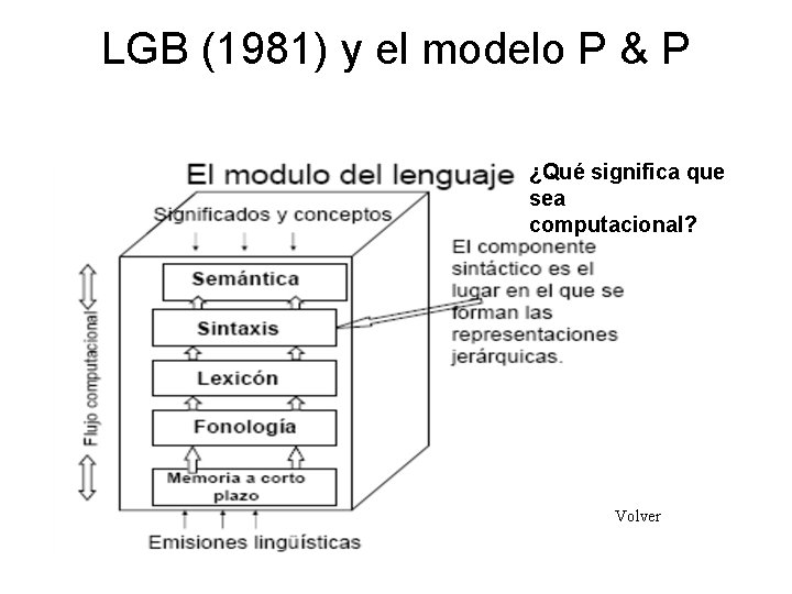 LGB (1981) y el modelo P & P ¿Qué significa que sea computacional? Volver