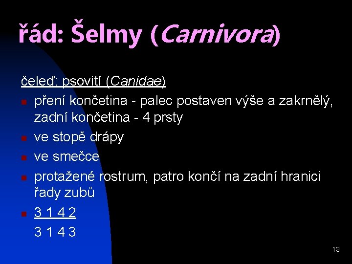 řád: Šelmy (Carnivora) čeleď: psovití (Canidae) n pření končetina - palec postaven výše a