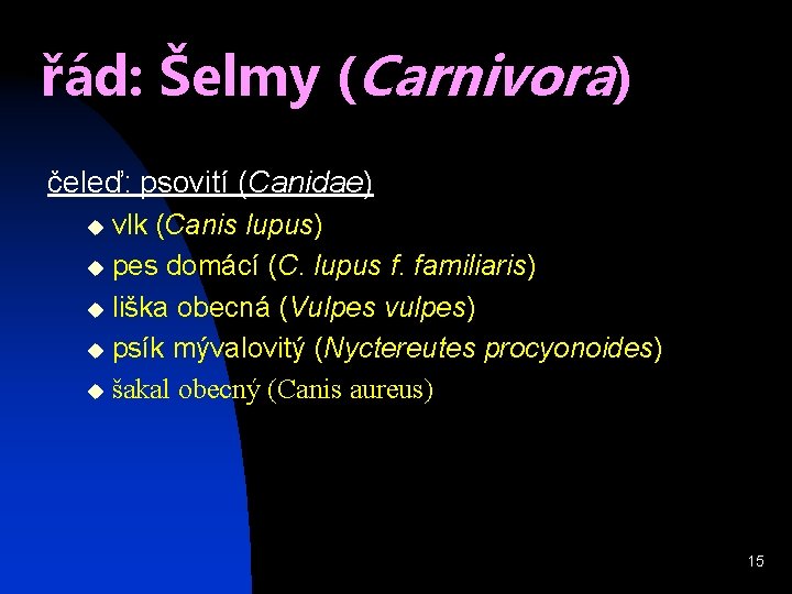 řád: Šelmy (Carnivora) čeleď: psovití (Canidae) vlk (Canis lupus) u pes domácí (C. lupus