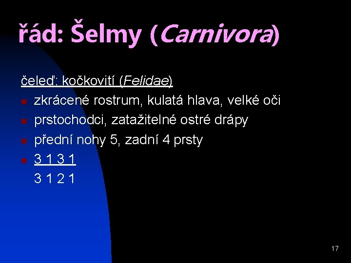 řád: Šelmy (Carnivora) čeleď: kočkovití (Felidae) n zkrácené rostrum, kulatá hlava, velké oči n