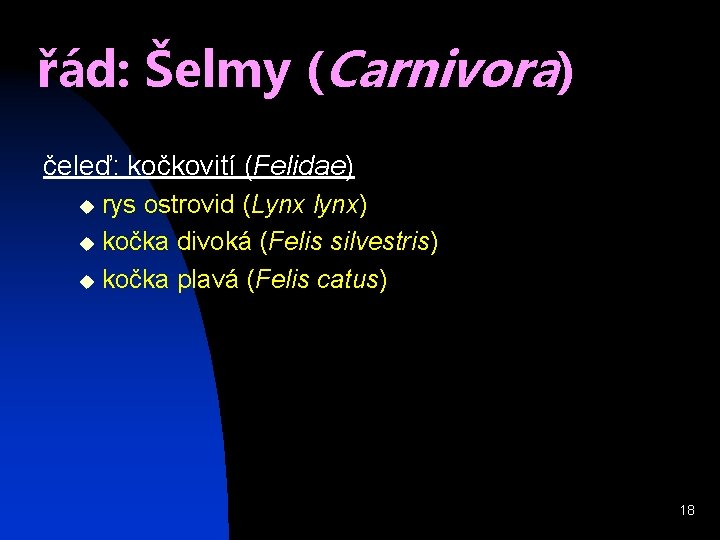 řád: Šelmy (Carnivora) čeleď: kočkovití (Felidae) rys ostrovid (Lynx lynx) u kočka divoká (Felis