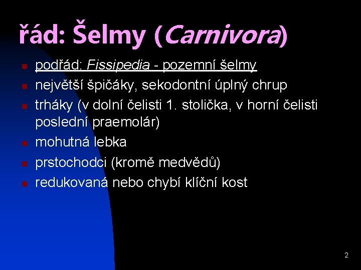 řád: Šelmy (Carnivora) n n n podřád: Fissipedia - pozemní šelmy největší špičáky, sekodontní