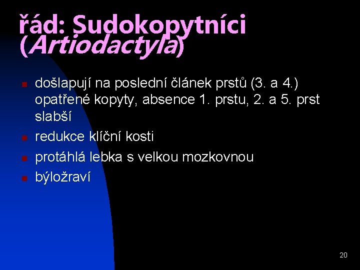 řád: Sudokopytníci (Artiodactyla) n n došlapují na poslední článek prstů (3. a 4. )