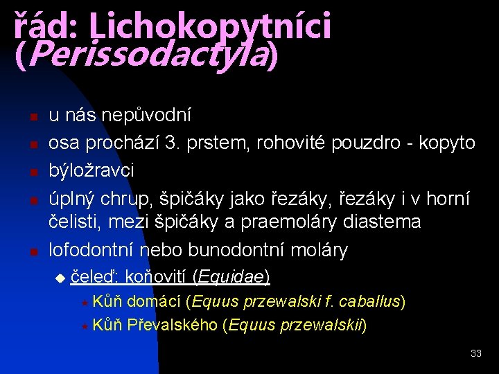 řád: Lichokopytníci (Perissodactyla) n n n u nás nepůvodní osa prochází 3. prstem, rohovité