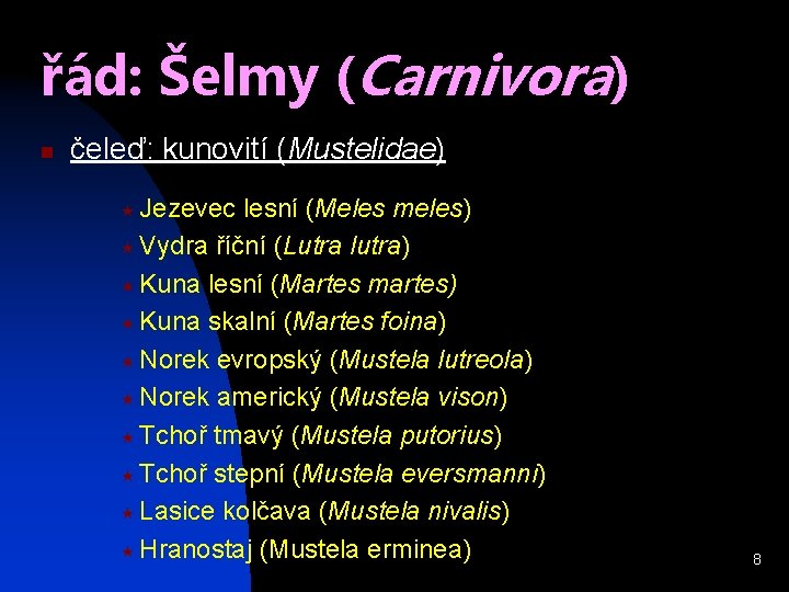 řád: Šelmy (Carnivora) n čeleď: kunovití (Mustelidae) « Jezevec lesní (Meles meles) « Vydra