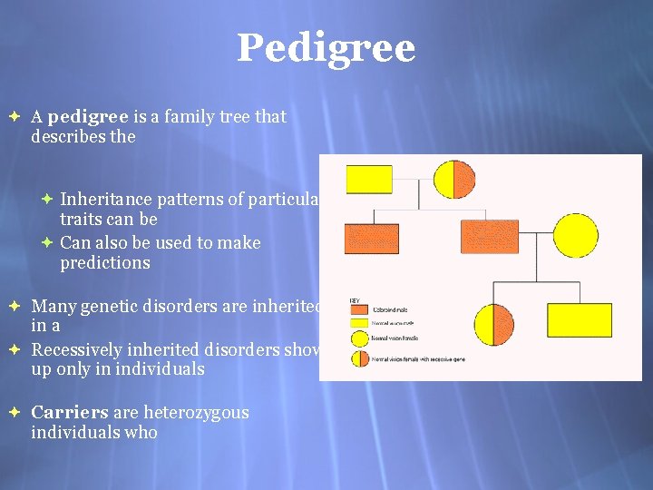 Pedigree A pedigree is a family tree that describes the Inheritance patterns of particular