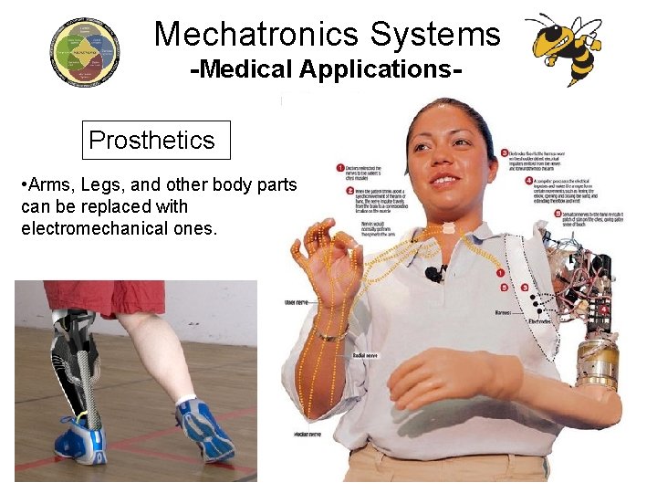 Mechatronics Systems -Medical Applications. Prosthetics • Arms, Legs, and other body parts can be