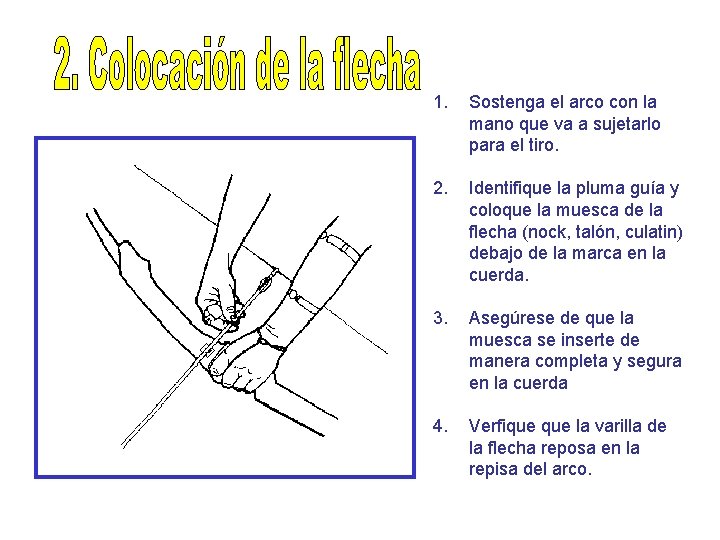 1. Sostenga el arco con la mano que va a sujetarlo para el tiro.