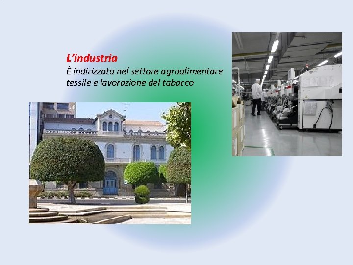 L’industria È indirizzata nel settore agroalimentare tessile e lavorazione del tabacco 