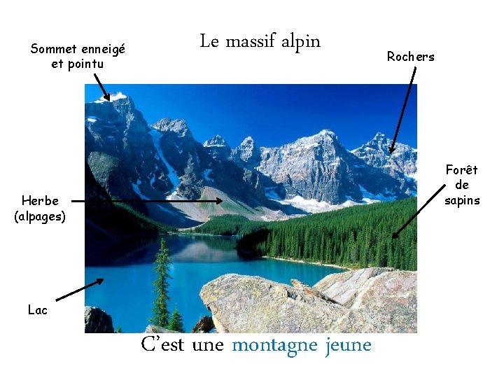 Sommet enneigé et pointu Le massif alpin Rochers Forêt de sapins Herbe (alpages) Lac