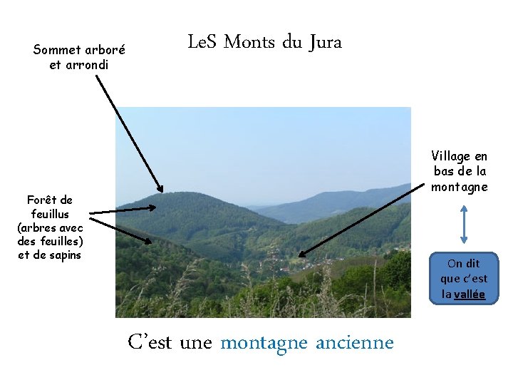 Sommet arboré et arrondi Le. S Monts du Jura Village en bas de la