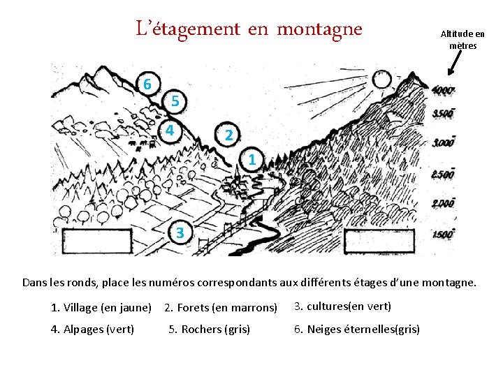 L’étagement en montagne 6 Altitude en mètres 5 4 2 1 3 Dans les