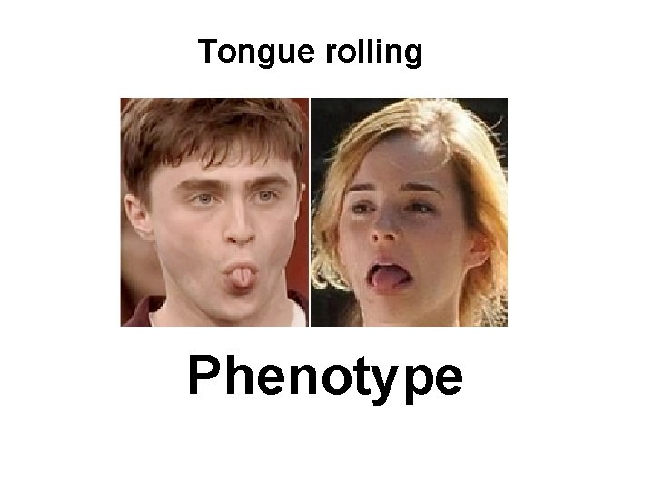 Tongue rolling Phenotype 