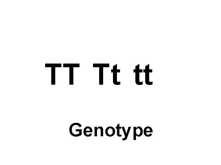 TT Tt tt Genotype 