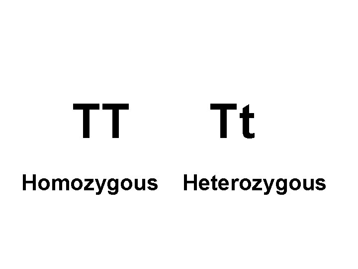 TT Homozygous Tt Heterozygous 