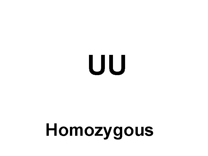 UU Homozygous 