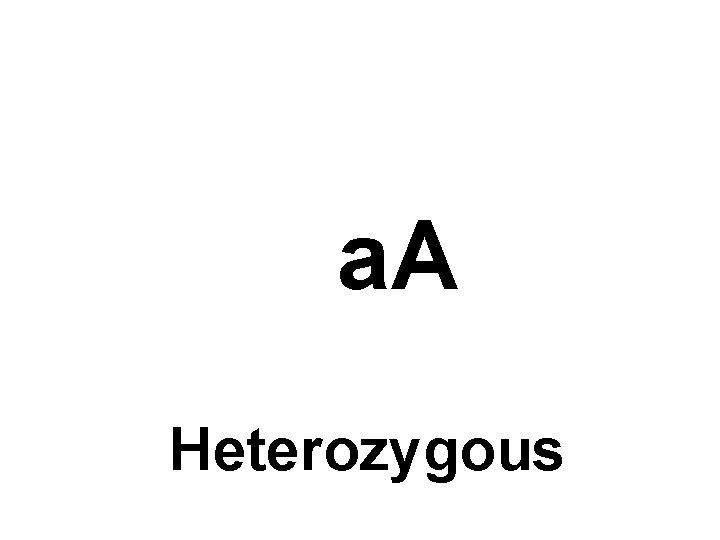 a. A Heterozygous 