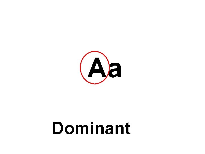 Aa Dominant 