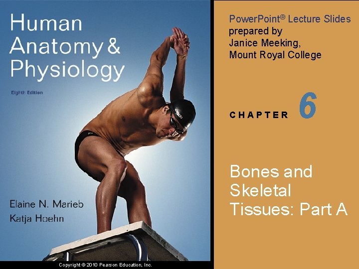 Power. Point® Lecture Slides prepared by Janice Meeking, Mount Royal College CHAPTER 6 Bones