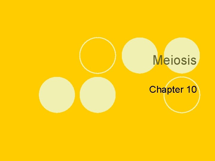 Meiosis Chapter 10 