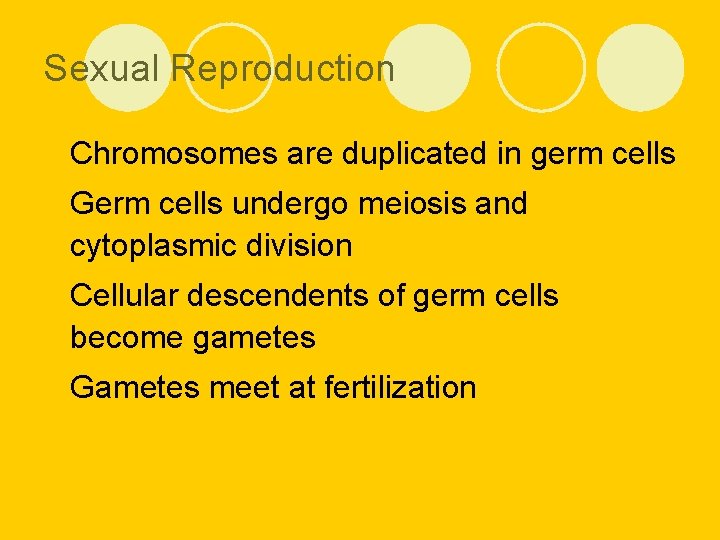 Sexual Reproduction l Chromosomes are duplicated in germ cells l Germ cells undergo meiosis