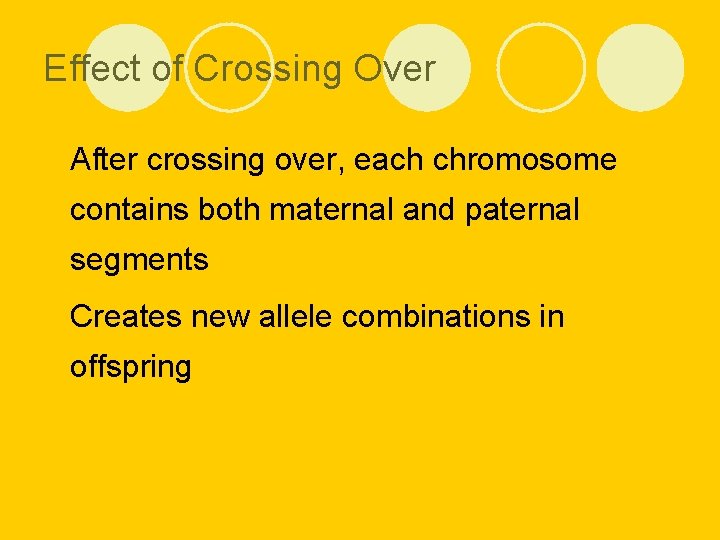 Effect of Crossing Over l After crossing over, each chromosome contains both maternal and