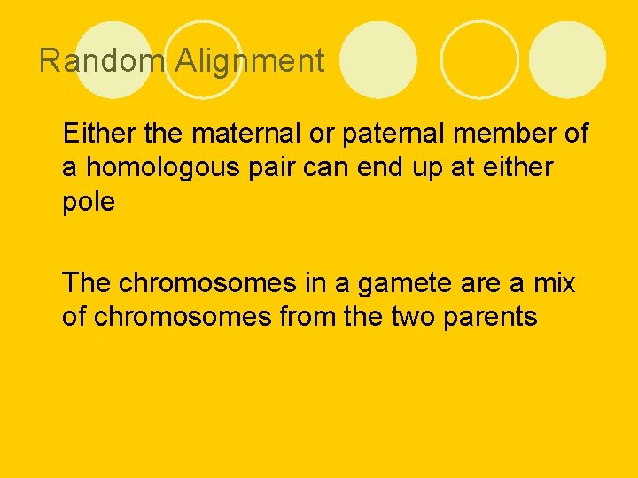 Random Alignment l Either the maternal or paternal member of a homologous pair can