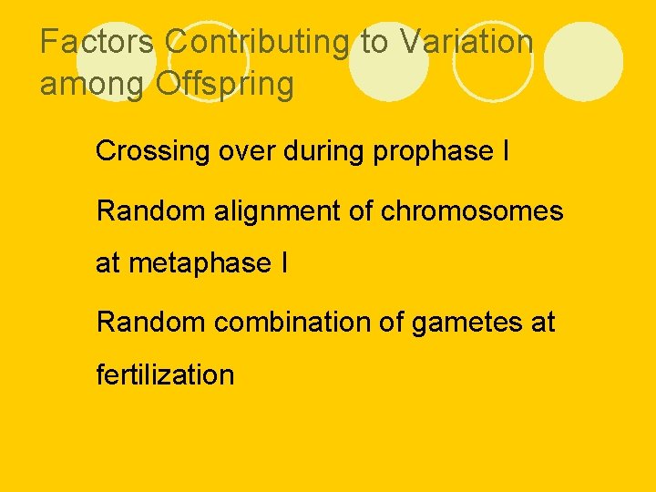 Factors Contributing to Variation among Offspring l Crossing over during prophase I l Random