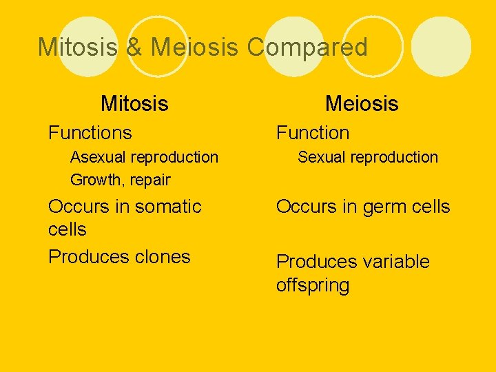 Mitosis & Meiosis Compared Mitosis l Functions ¡ ¡ l Asexual reproduction Growth, repair